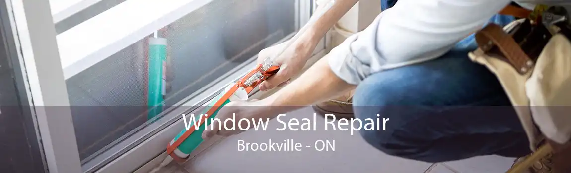 Window Seal Repair Brookville - ON