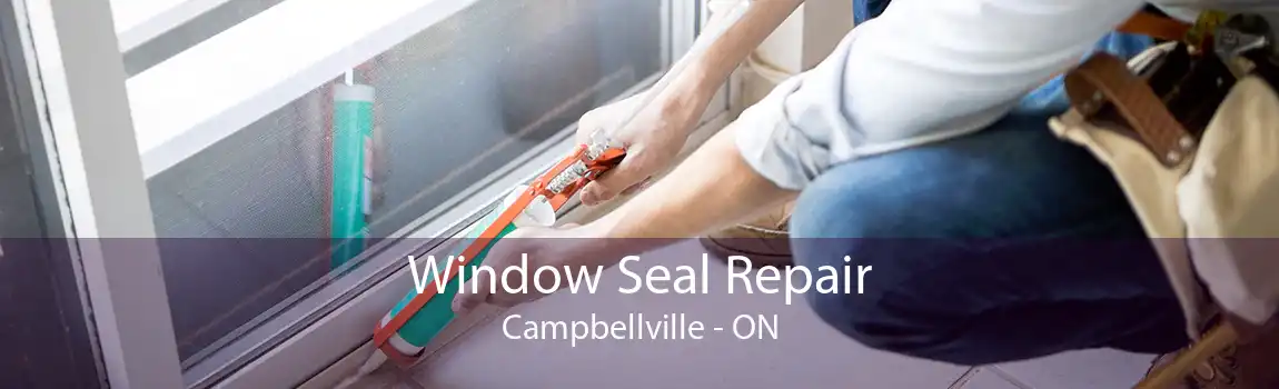 Window Seal Repair Campbellville - ON