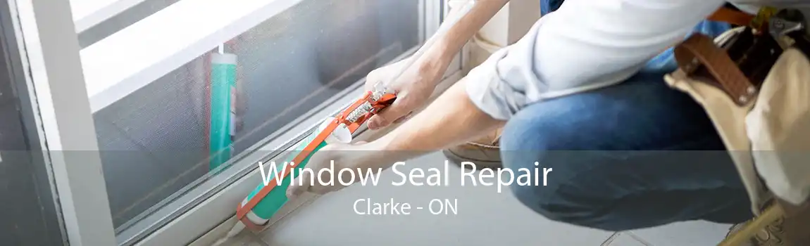 Window Seal Repair Clarke - ON