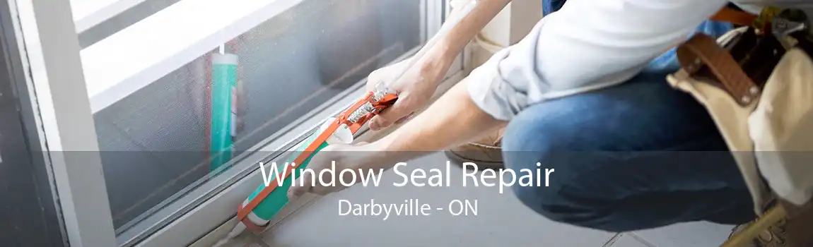 Window Seal Repair Darbyville - ON