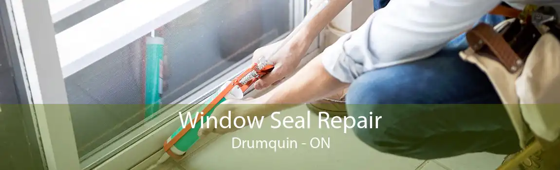 Window Seal Repair Drumquin - ON
