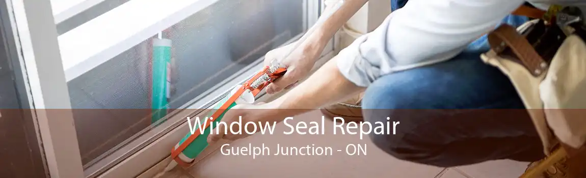 Window Seal Repair Guelph Junction - ON
