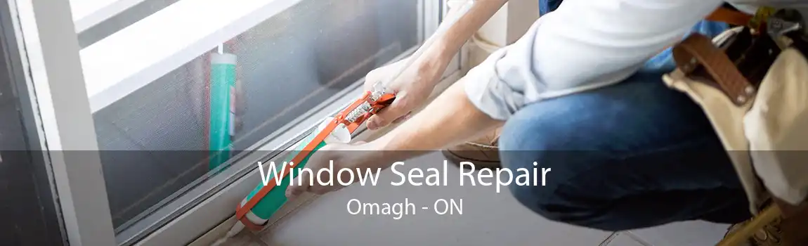 Window Seal Repair Omagh - ON