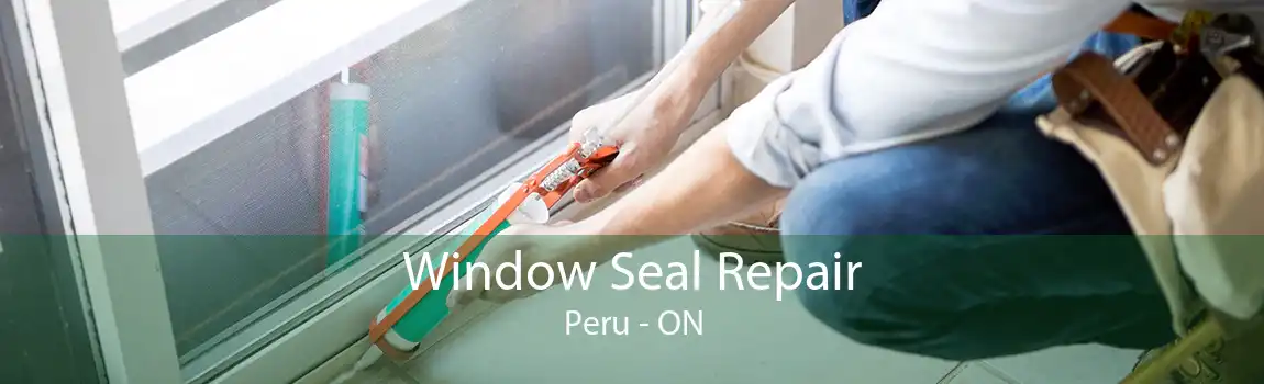 Window Seal Repair Peru - ON
