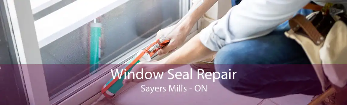 Window Seal Repair Sayers Mills - ON