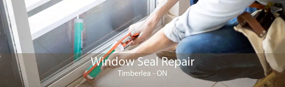 Window Seal Repair Timberlea - ON