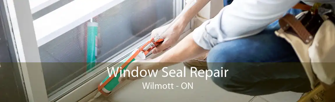 Window Seal Repair Wilmott - ON